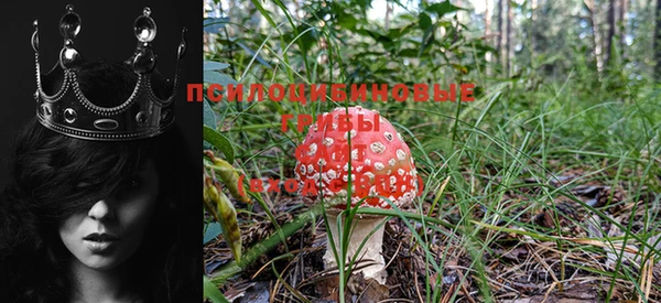 прущая мука Надым