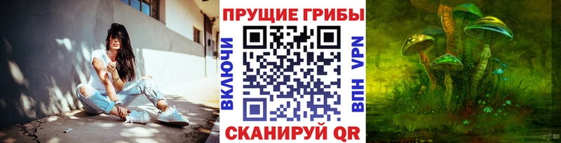 Галлюциногенные грибы прущие грибы  Талдом 