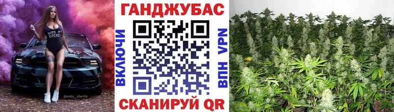 Канабис сатива  Талдом 